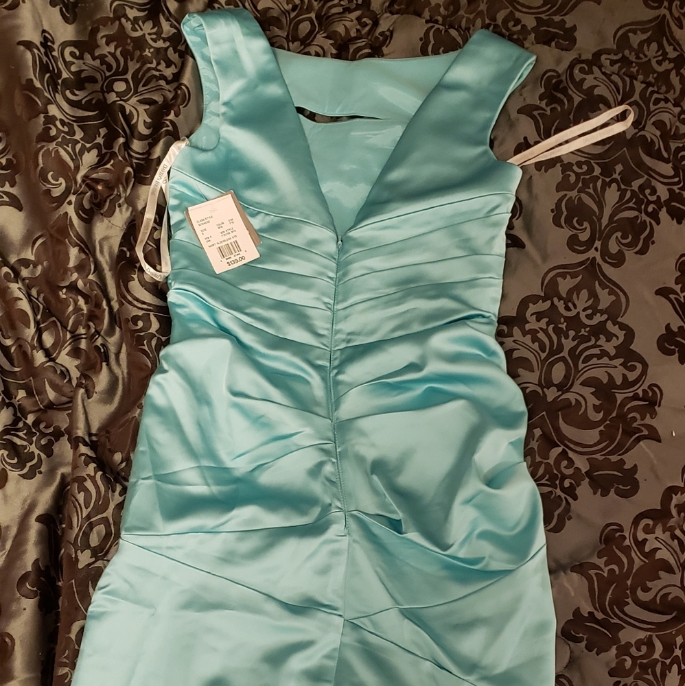 NWT David's Bridal Short Sleeveless Dress